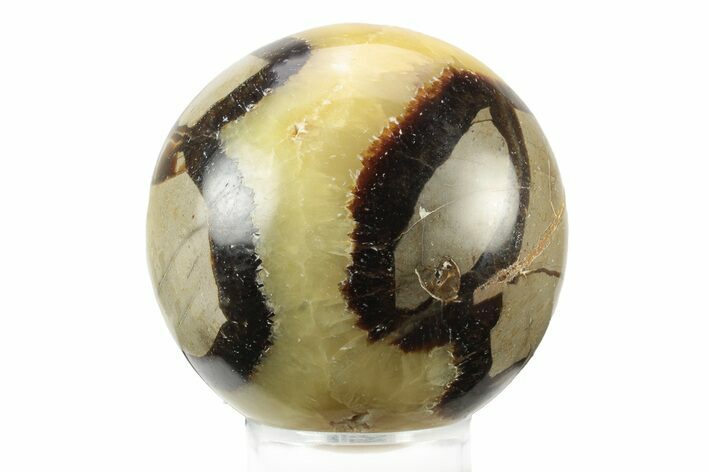 Polished Septarian Sphere - Madagascar #238990